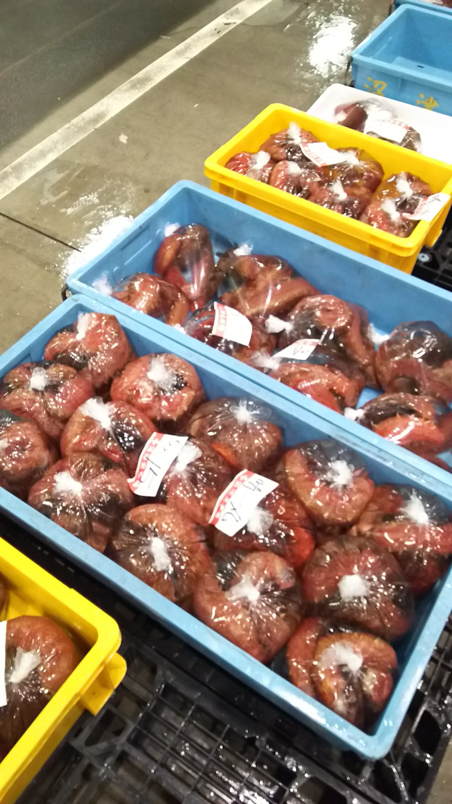 ナマコを食す かねはち 時代とともに進化する「沼津魚市場仲買人」