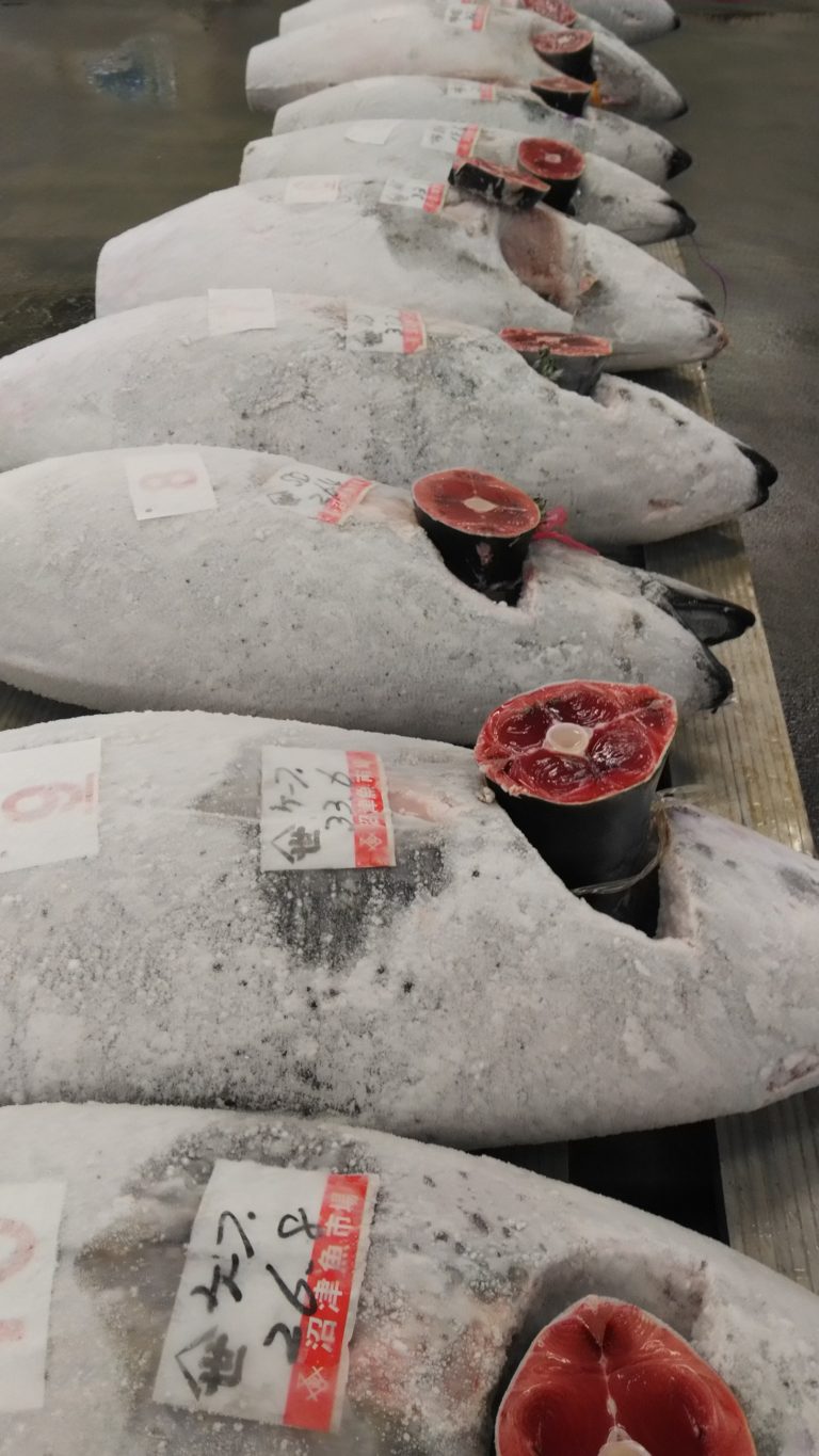 マグロ競り かねはち 時代とともに進化する「沼津魚市場仲買人」