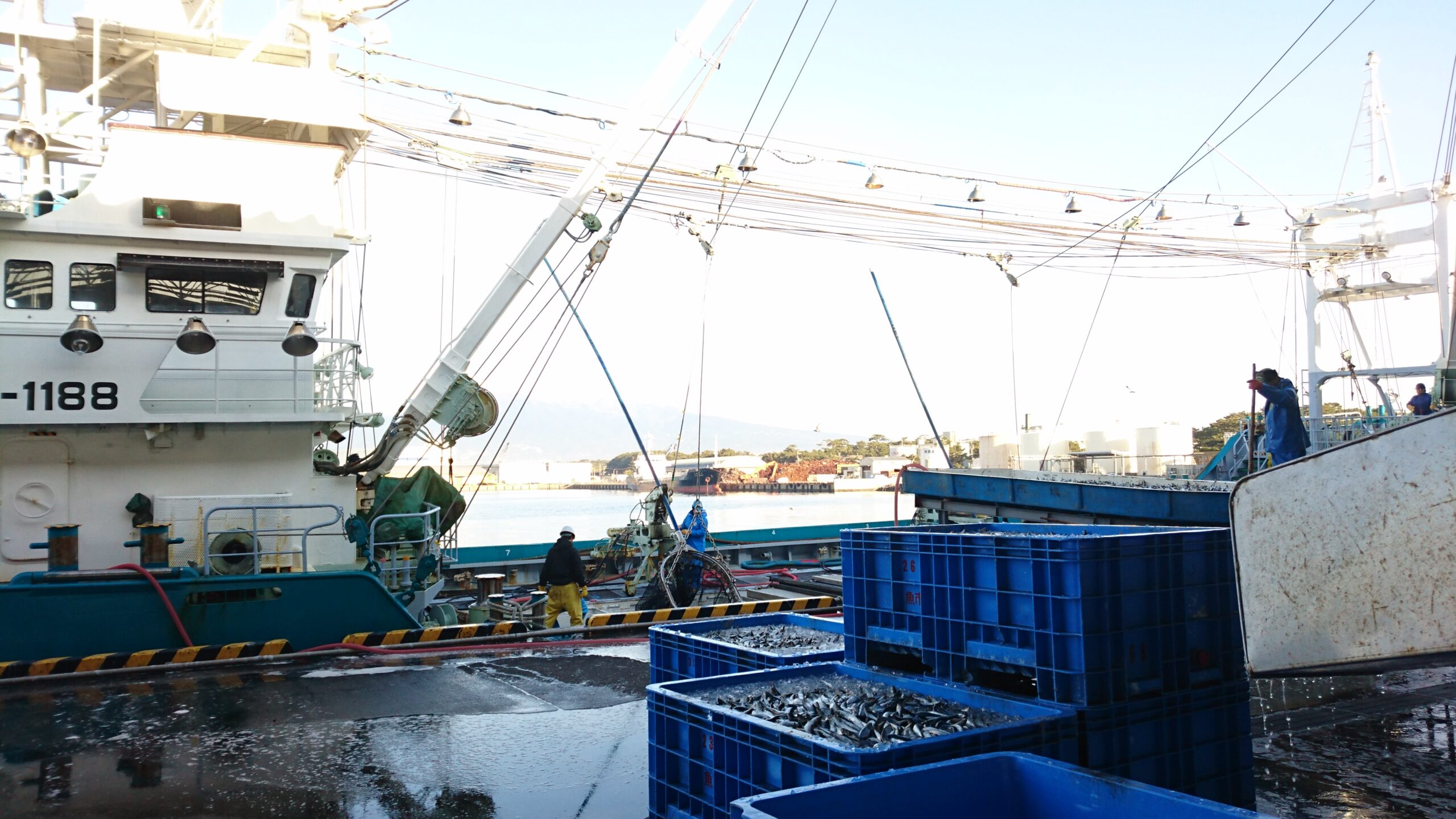 明日はお休みです。 かねはち 時代とともに進化する「沼津魚市場仲買人」